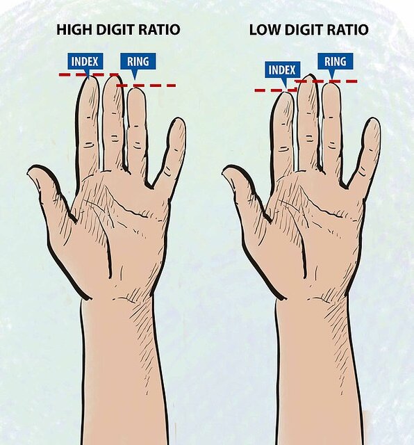 طول انگشتان عادات غذایی افراد را نشان می‌دهد!