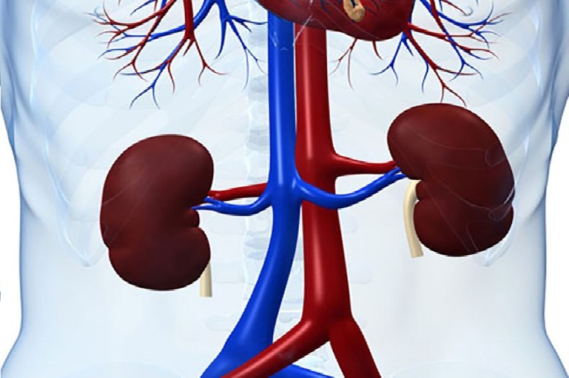 پرفشاری خون به کلیه‌ها آسیب می‌زند