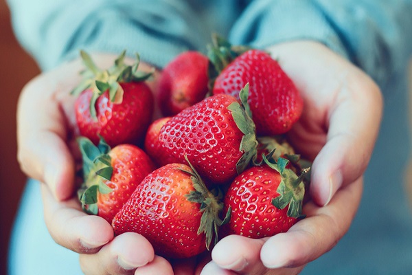 فواید حفاظتی مصرف توت و سیب و چای در برابر آلزایمر