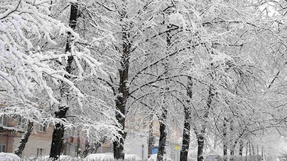 مدارس روستایی بانه شنبه تعطیل است