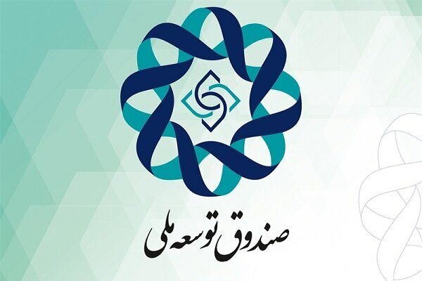 سهم دولت از صندوق توسعه کم شد