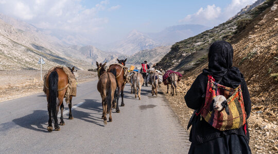 ماجرای کوچ خارجی ها در ایران + عکس