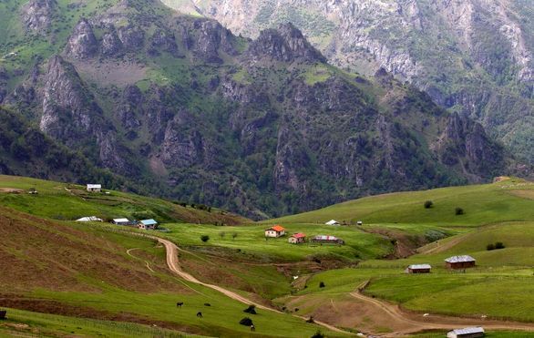 نجات جان مراتع و جنگل‌ ها با نسخه اثر بخش بیمه اجباری