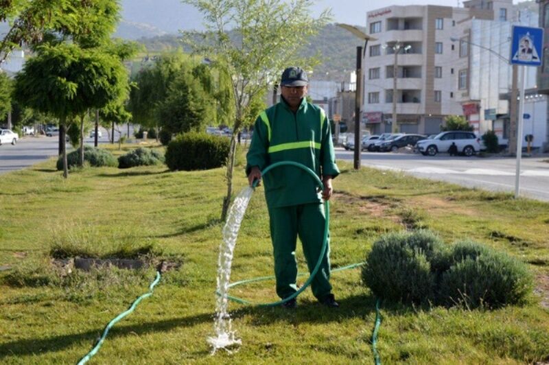 چمن کاری در استان تهران ممنوع شد