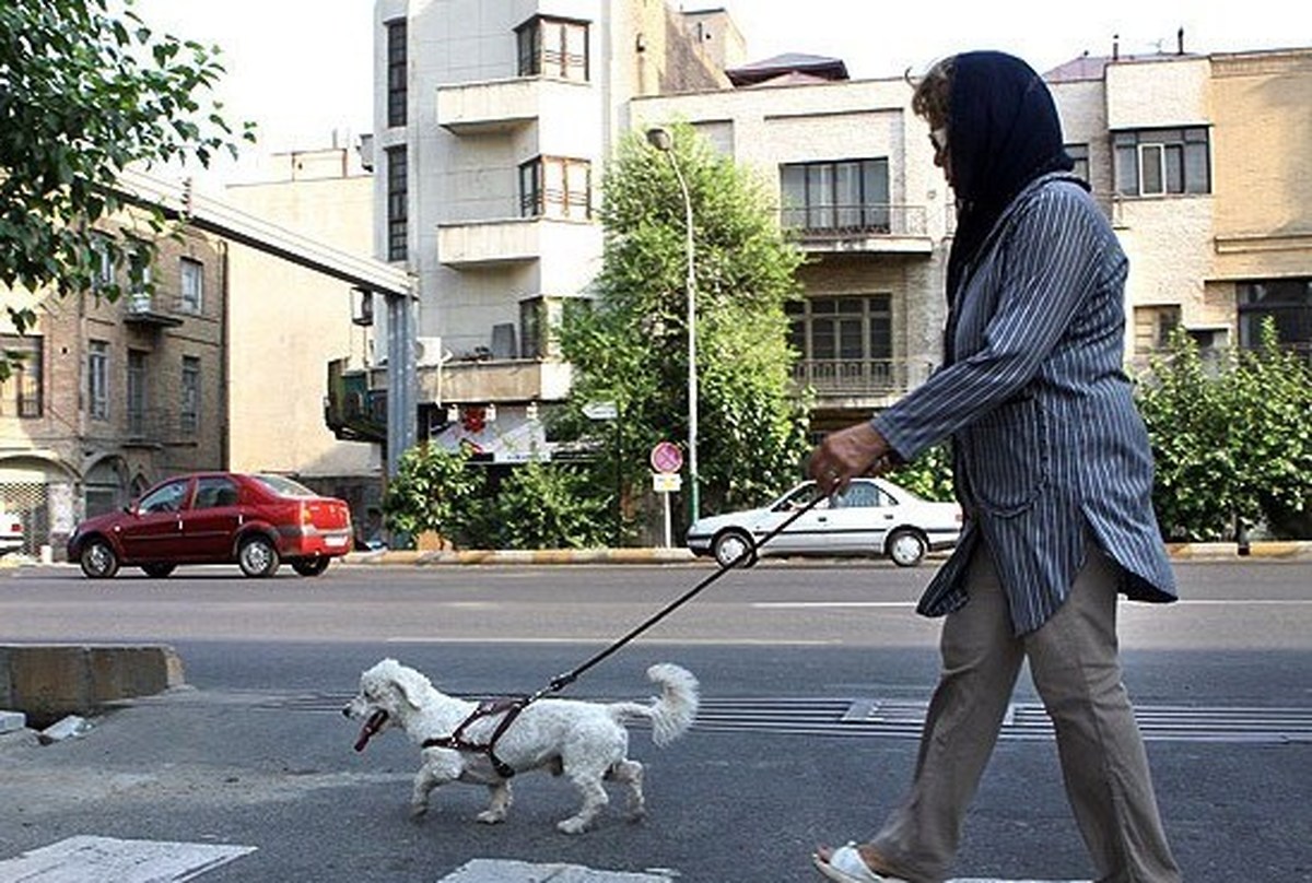 واکنش پلیس به برخورد تند یک مامور با شهروند تهرانی