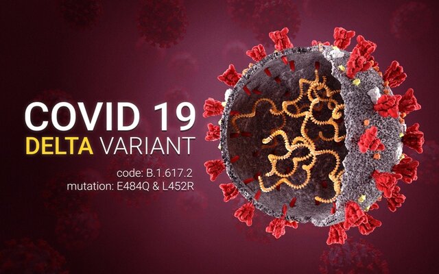 سویه غالب کرونا در کشور سویه دلتا است