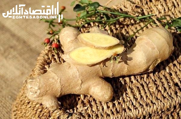 مصرف زنجبیل در دوران بارداری خطرناک است؟