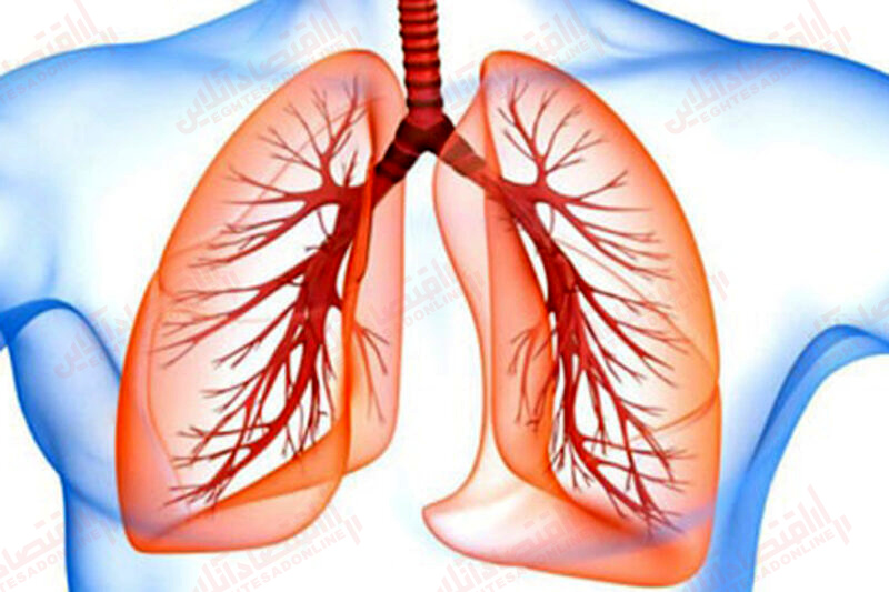 ۸ نکته برای داشتن ریه‌ های سالم