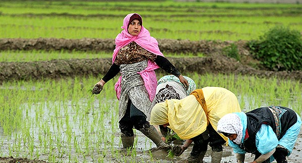 روز جهانی زنان روستایی؛ مجالی برای بازنگری