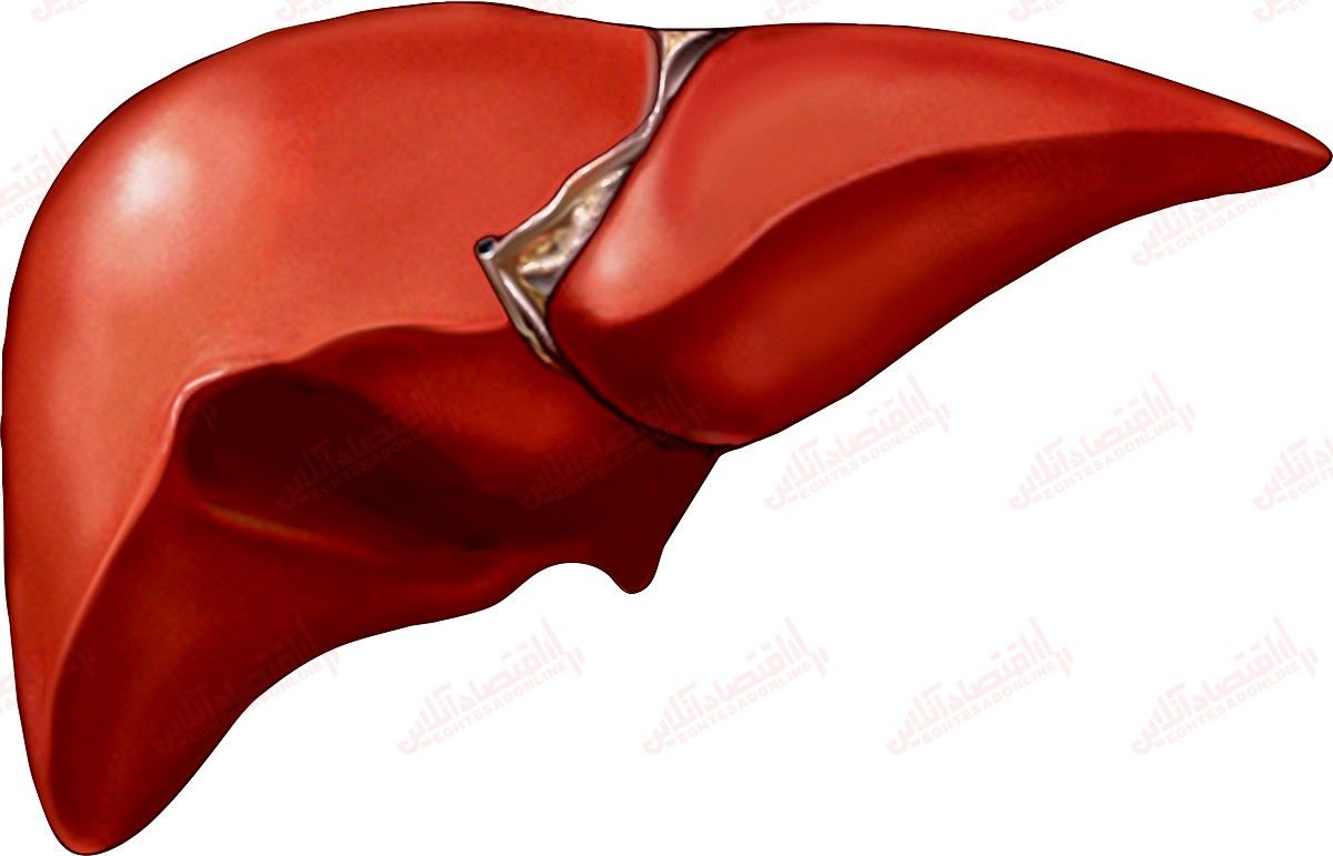 چگونه کبد خود را سالم نگه‌ دارید