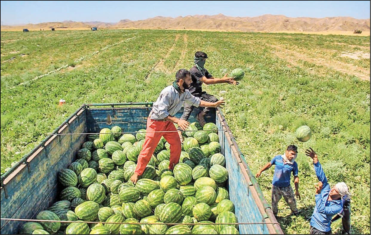 انتقال سطح زیرکشت مناطق کم‌آب به سایر استان‌ها