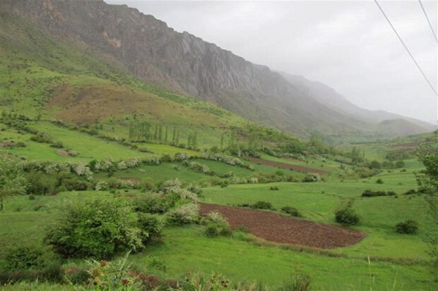 طرح ممیزی مراتع کشور امسال به اتمام می‌ رسد