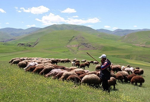 مرزبانان ترکمنستان قاتل چوپان ایرانی شدند