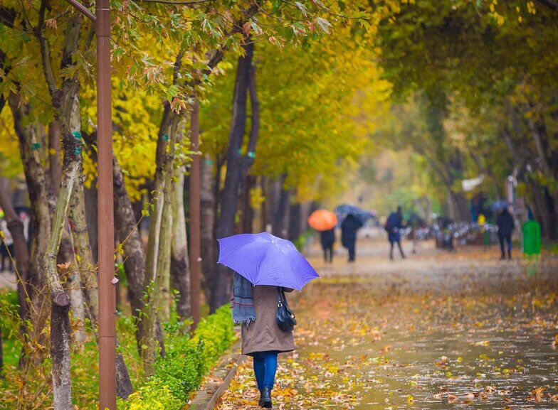 کاهش شدید دما در نواحی شمالی کشور