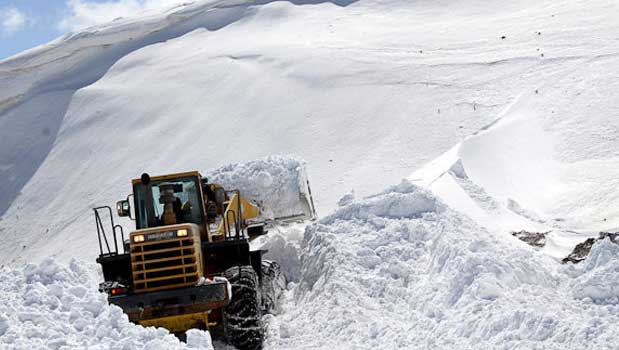 آخرین خبرها از کوهنوردان گرفتار در دیزین