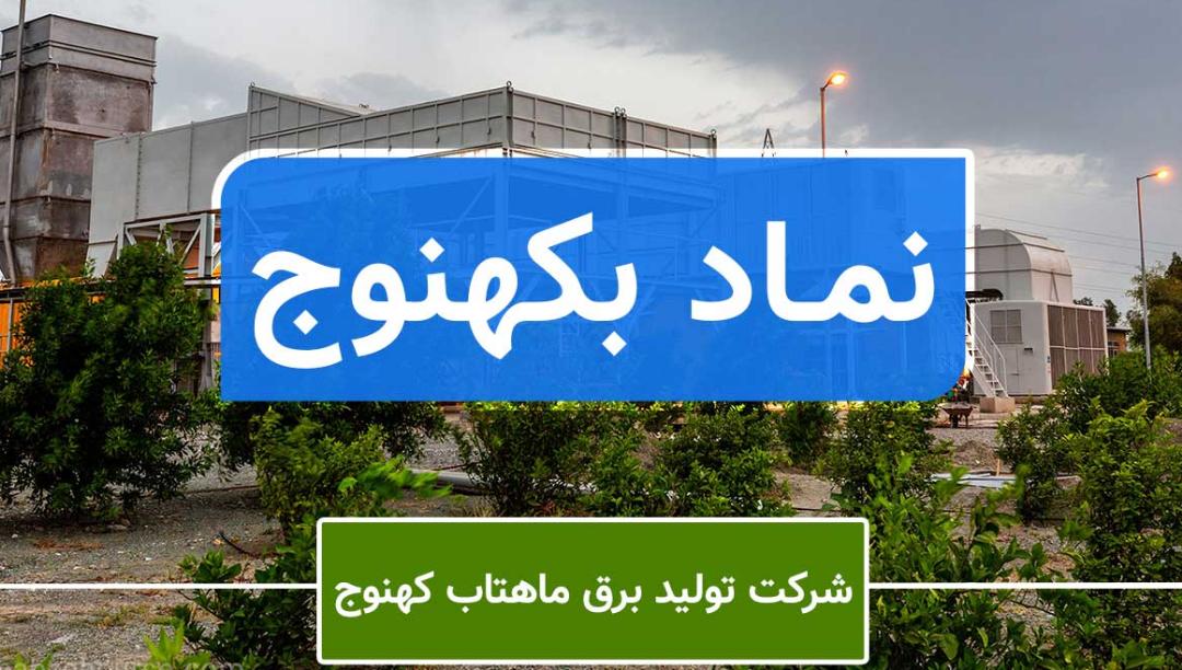 زیاندهی «بکهنوج» برای سومین سال پیاپی / امسال بخت این سهم باز می شود؟