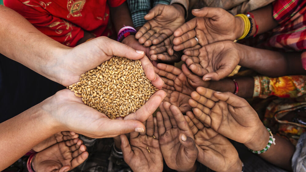 فاجعه غذایی در کمین جهان است