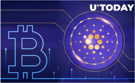 کاردانو قابلیت تبدیل شدن به بیت کوین را دارد!