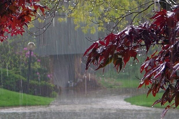 بارندگی در تهران ادامه دارد؟