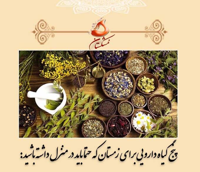 پنج گیاه دارویی برای زمستان که حتما باید در منزل داشته باشید