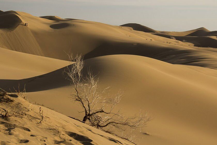 ۸ نفر در کویر دامغان گم شدند