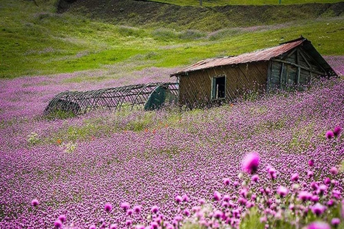 آشنایی با ۲ منطقه بکر ایران / اینجا یک گوشه از بهشت است + عکس