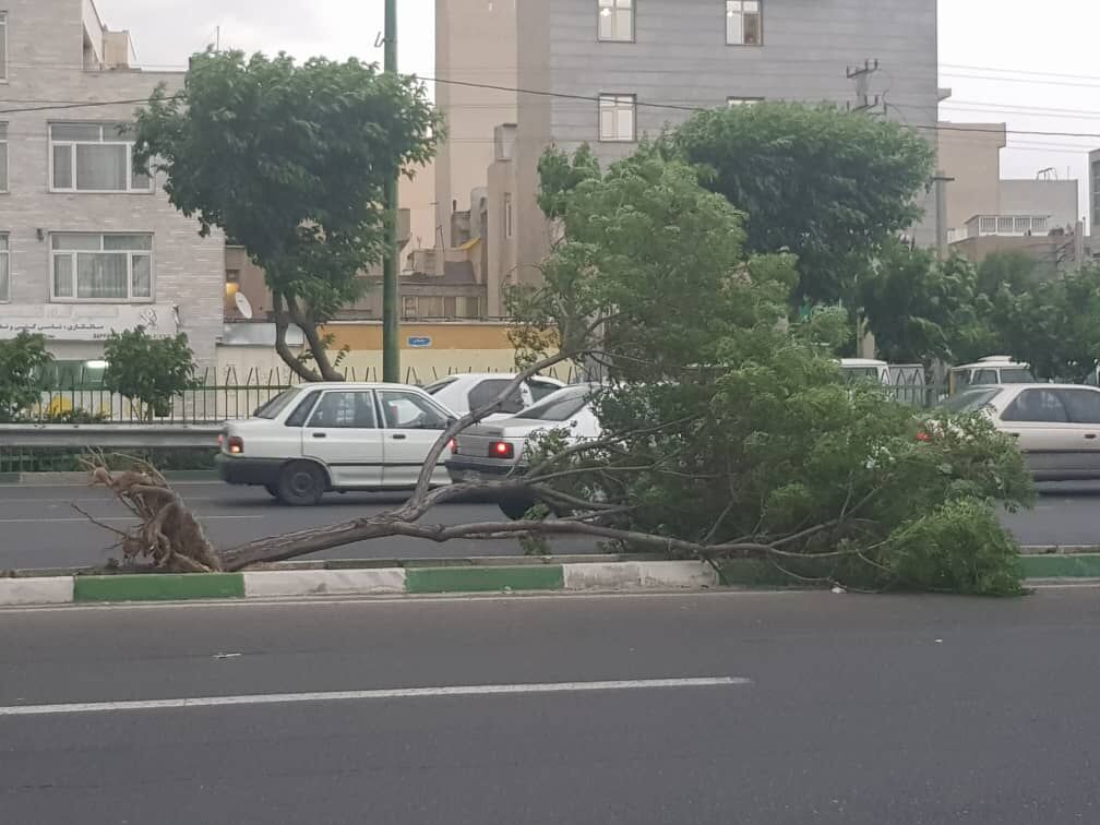 هشدار هواشناسی؛ وزش باد شدید در راه است