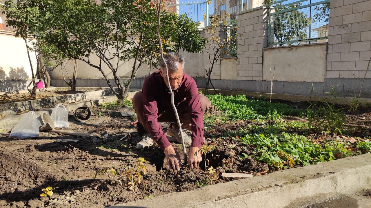 ایران مستعد اجرای طرح کاشت یک میلیارد درخت