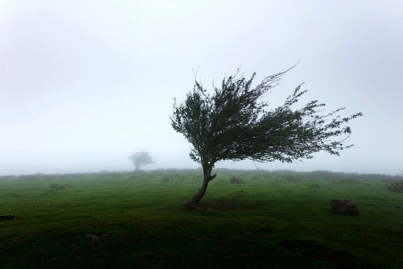 آسمان کردستان بارانی می‌شود