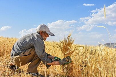 کشاورزان چه خدماتی را می‌توانند از بسیج دریافت کنند؟ 