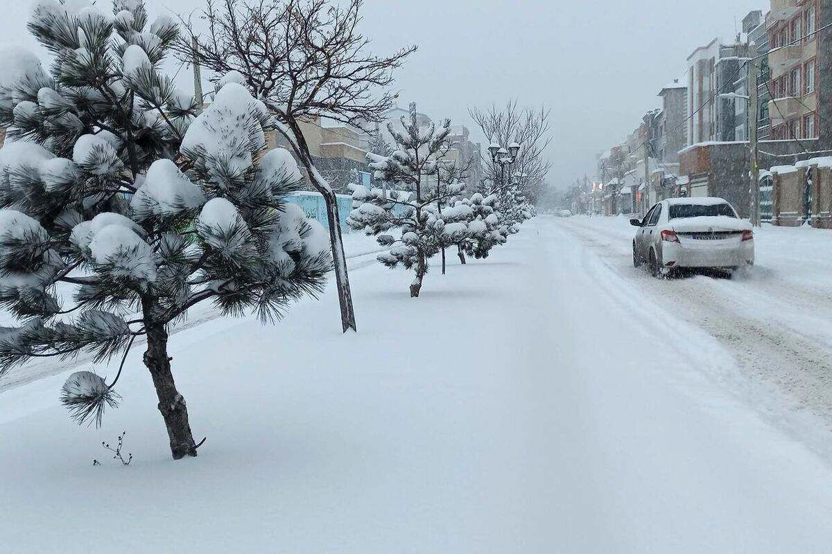 بارش برف در تهران/ سفیدپوشی این مناطق