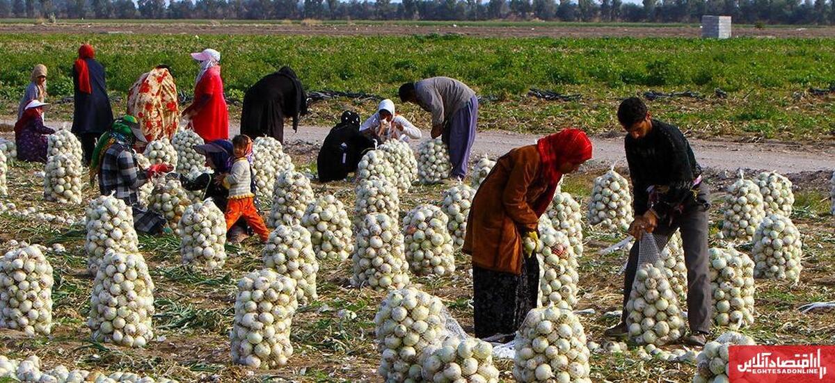 اشتغال‌زایی در اردبیل؛ ۲۴۴ طرح اقتصادی و سرمایه‌گذاری در روستاها آغاز شد