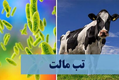 چگونه از ابتلا به انواع سرطان ها پیشگیری کنیم؟