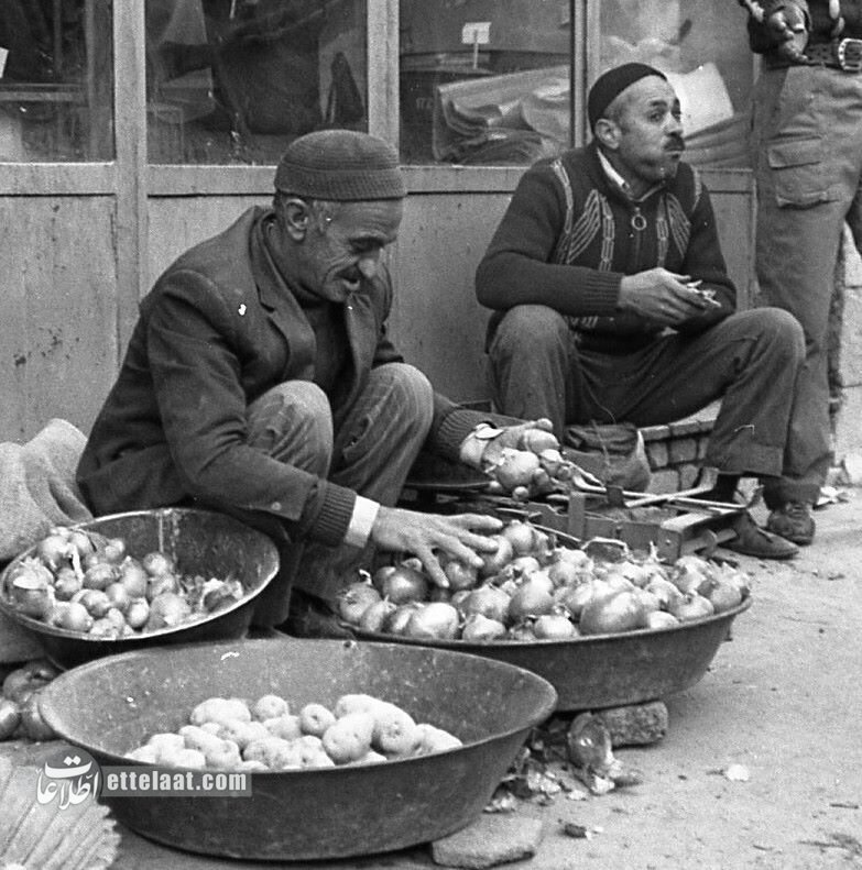 معضل گرانی سیب زمینی هنوز ادامه دارد + عکس معضل گرانی سیب زمینی هنوز ادامه دارد + عکس