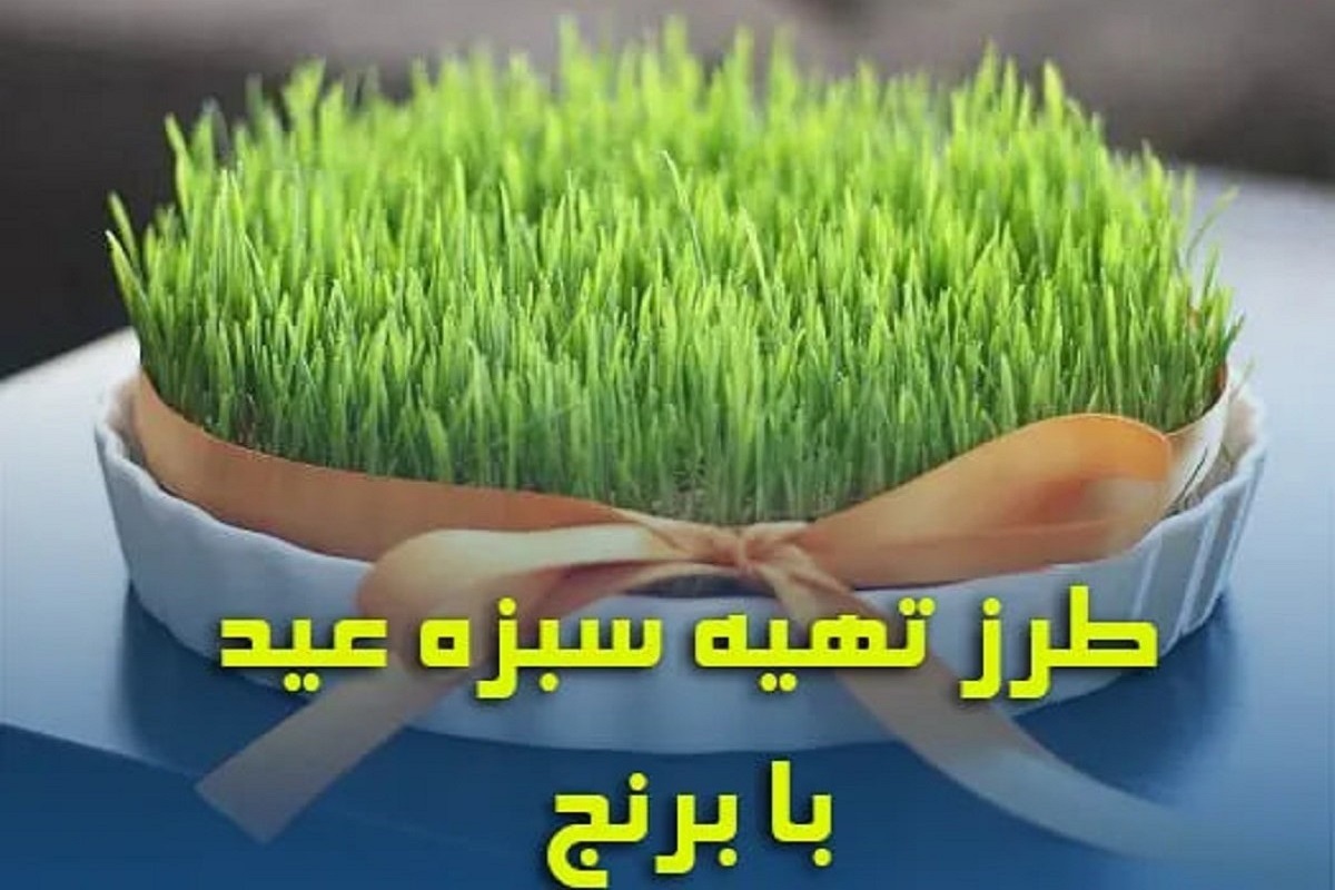 کاشت سبزه متفاوت و جذاب / مراحل کاشت سبزه عید با برنج