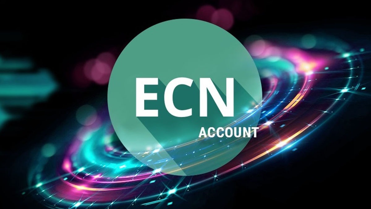 STP vs. ECN - Account Differences and Choices | EBC Financial Group