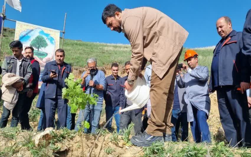 عملیات جنگل‌کاری ۴۰۰ هکتاری مس سونگون در ارسباران آغاز شد