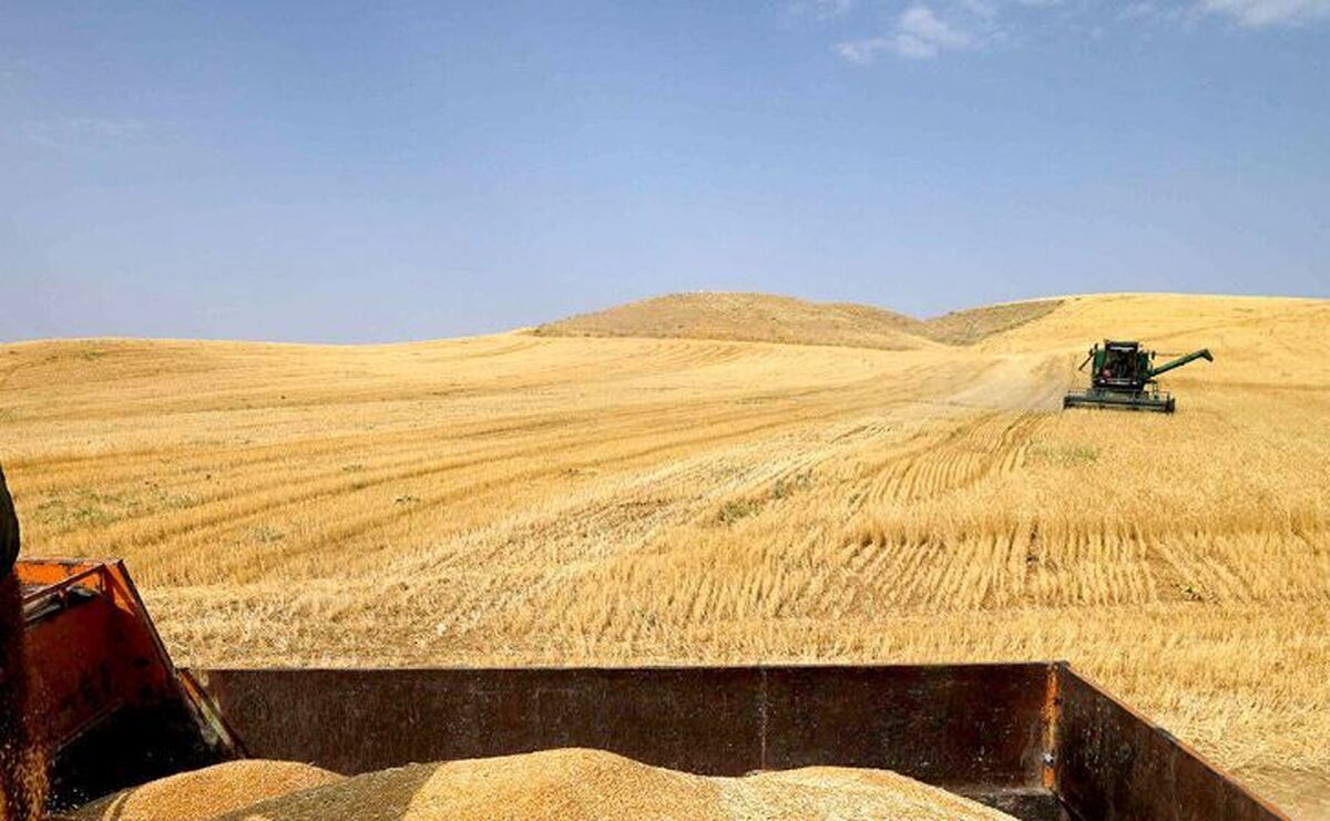 ۲۰۸ هزار میلیارد تومان گندم از کشاورزان خریداری شد