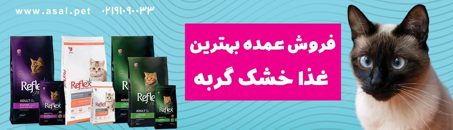 مرکز پخش و فروش غذای گربه در تهران + آدرس و شماره تماس پت شاپ مرکز پخش و فروش غذای گربه در تهران + آدرس و شماره تماس پت شاپ
