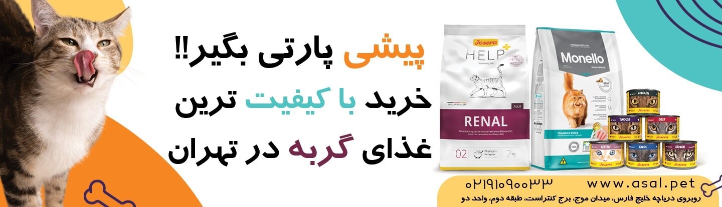 مرکز پخش و فروش غذای گربه در تهران + آدرس و شماره تماس پت شاپ مرکز پخش و فروش غذای گربه در تهران + آدرس و شماره تماس پت شاپ