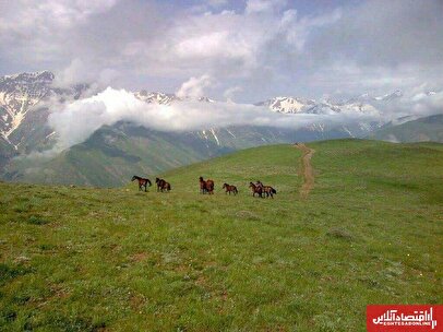 نابودی تدریجی مراتع آذربایجان شرقی