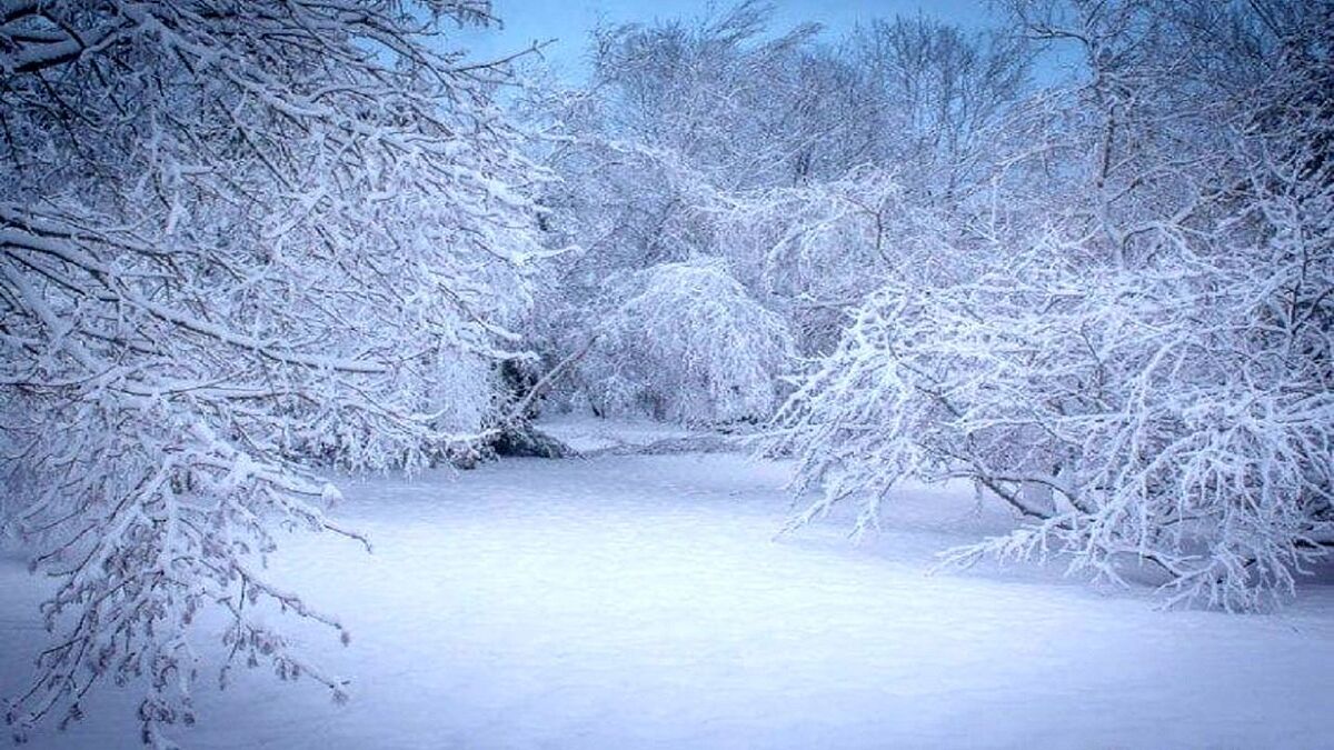 رونمایی-از-سرمای-زمستانی-در-تهران-برف-و-باران-به-کشور-رسید