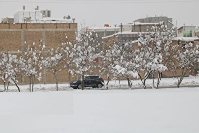 یزد برفی می‌شود