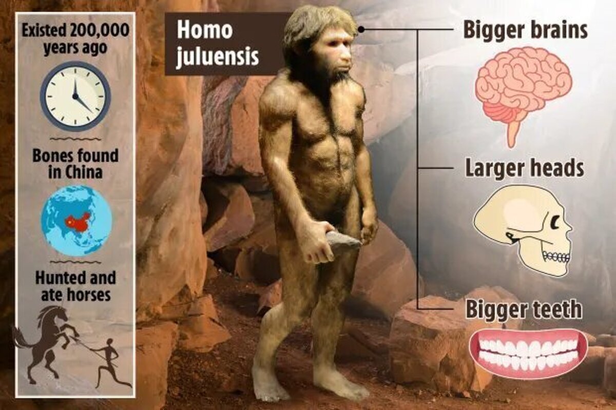 یک گونه انسانی جدید در چین کشف شد + عکس